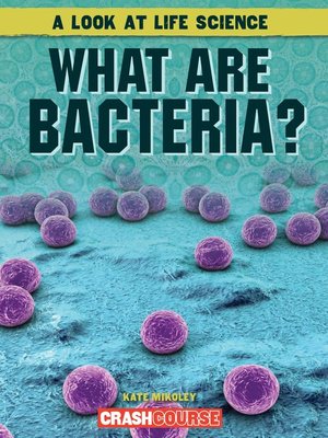 cover image of What Are Bacteria?